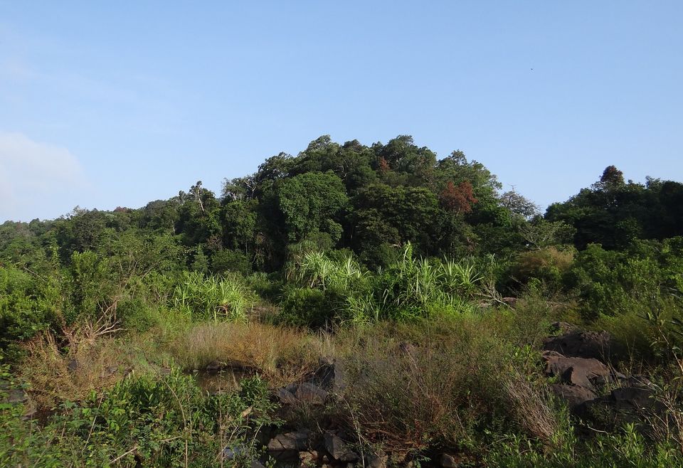 Photo of Rayagada, Odisha, India by Amrita