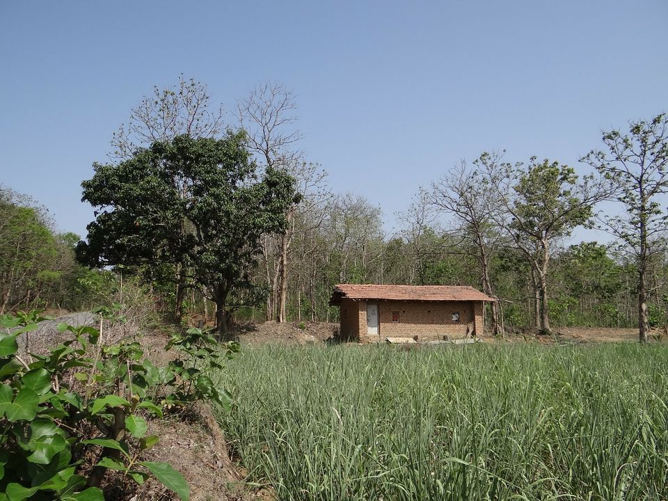 Photo of This forest trail through the tribal villages is the next thing you should do in Odisha by Amrita