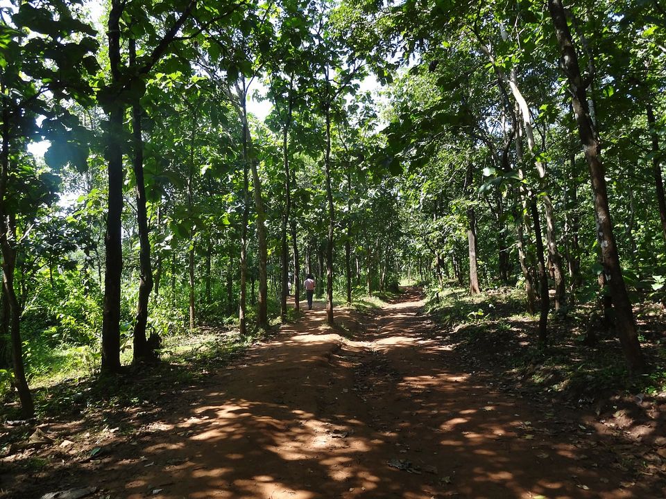 Photo of This forest trail through the tribal villages is the next thing you should do in Odisha by Amrita