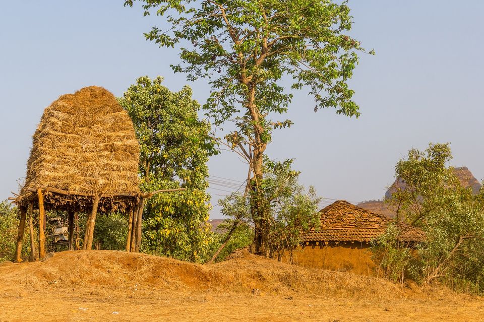 Photo of This forest trail through the tribal villages is the next thing you should do in Odisha by Amrita