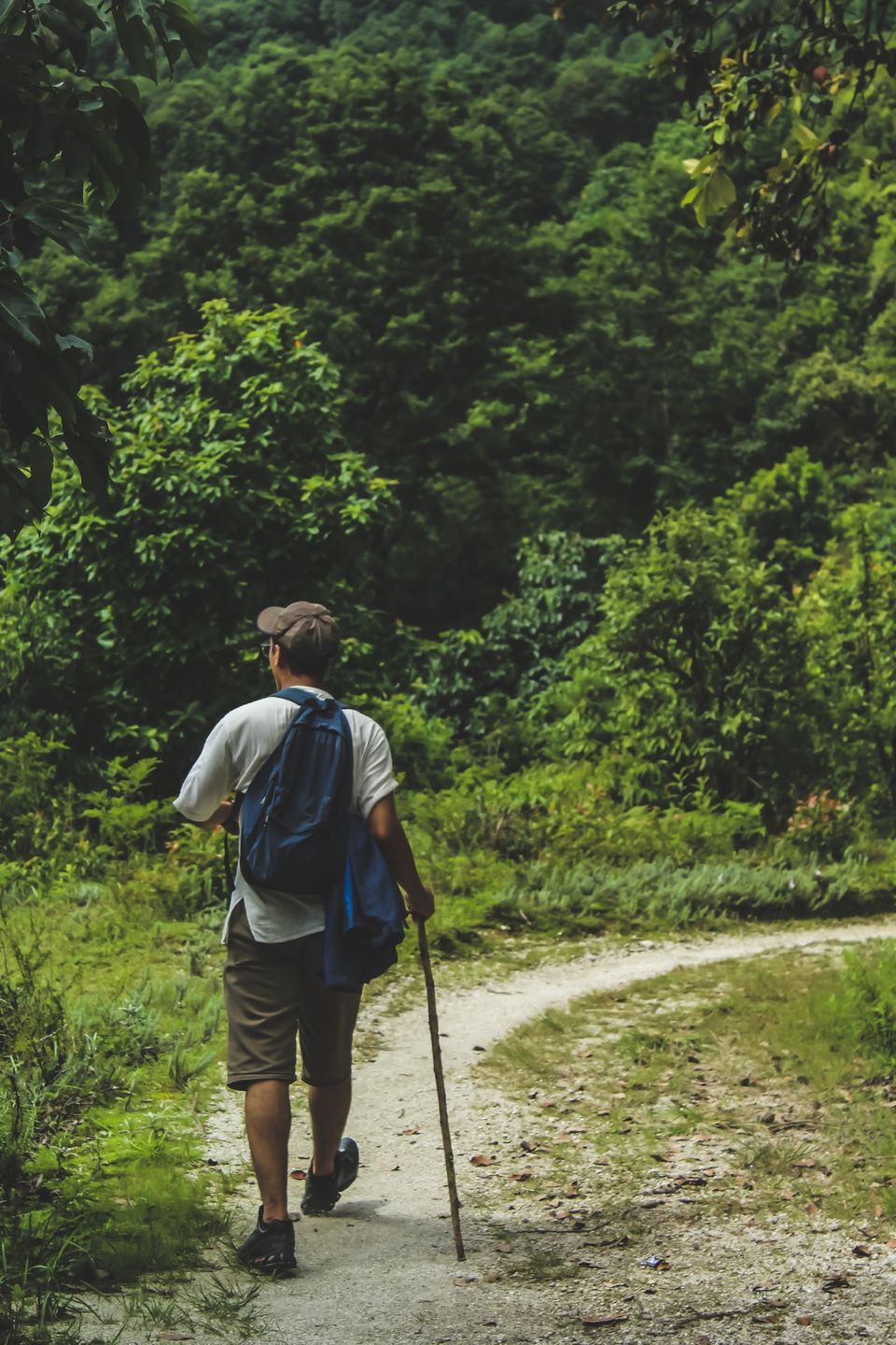 Photo of This forest trail through the tribal villages is the next thing you should do in Odisha by Amrita