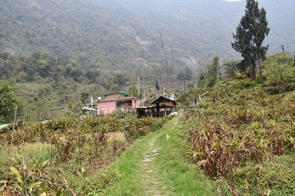 Photo of Gangtok, Sikkim, India by Amrita