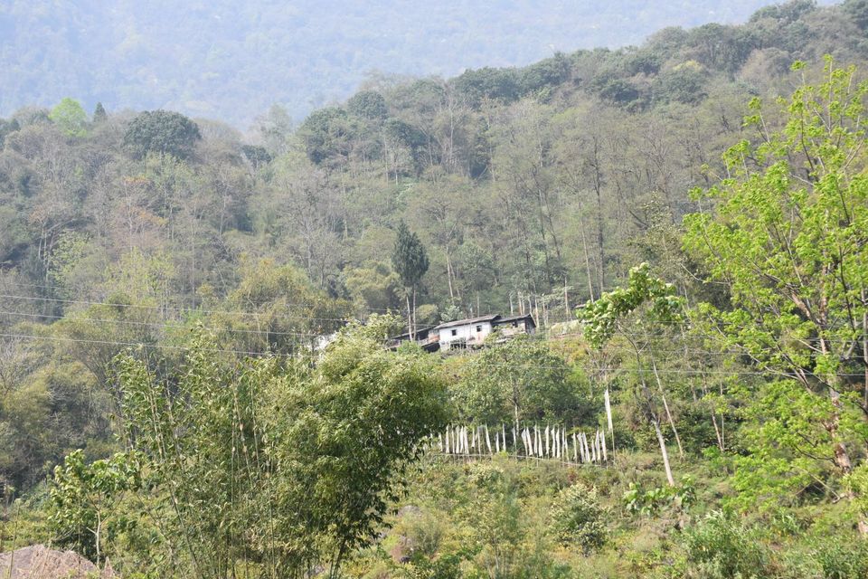 Photo of Gangtok, Sikkim, India by Amrita