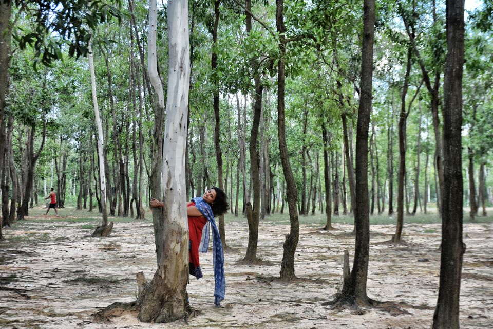 Photo of Sonajhuri Forest, Birbhum, West Bengal, India by Amrita