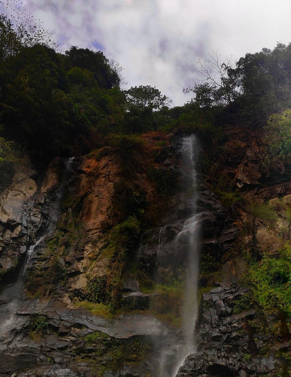 Photo of This Offbeat Stay near Darjeeling Is Best Place to Enjoy the Tea Gardens and Hills by Amrita