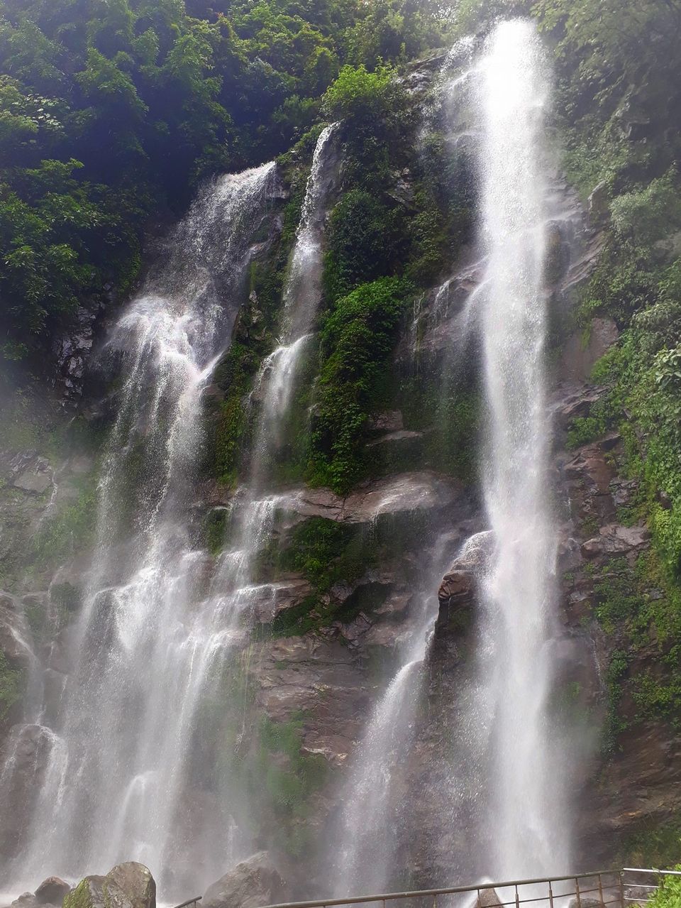 Photo of This Offbeat Stay near Darjeeling Is Best Place to Enjoy the Tea Gardens and Hills by Amrita