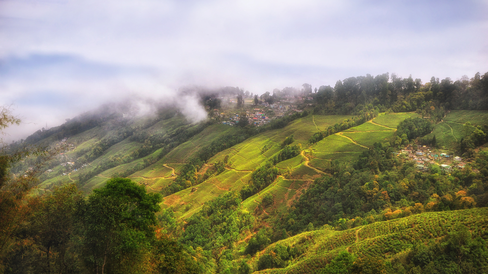 Photo of Darjeeling, West Bengal, India by Amrita