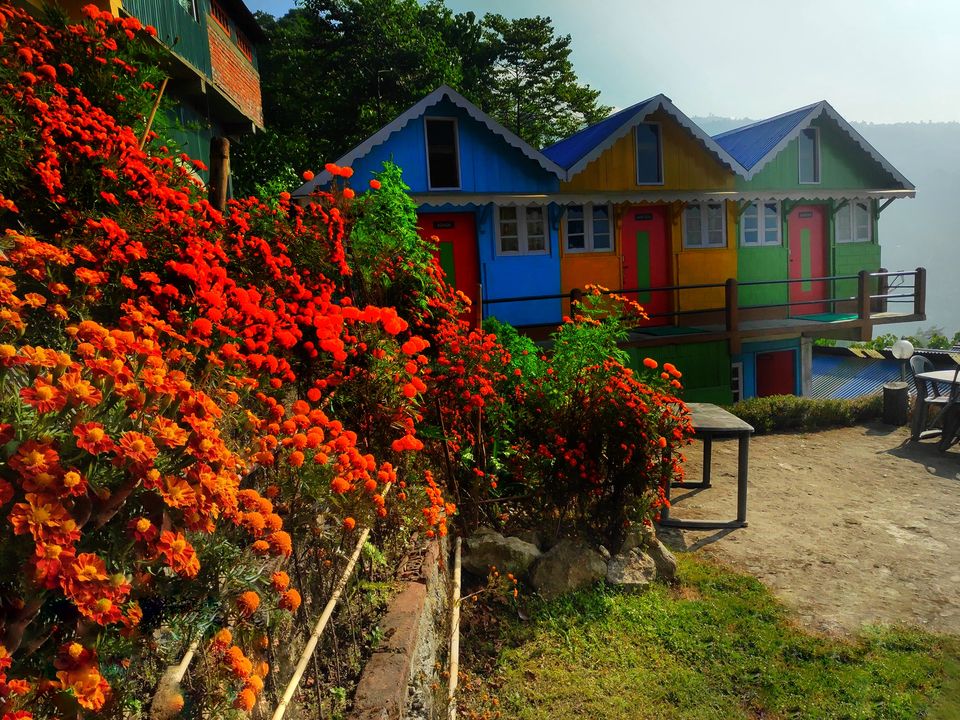 Photo of This Offbeat Stay near Darjeeling Is Best Place to Enjoy the Tea Gardens and Hills by Amrita