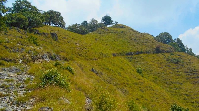 Photo of Trekking through this offbeat trail was the best thing I did in Mussourie by Amrita & Agni