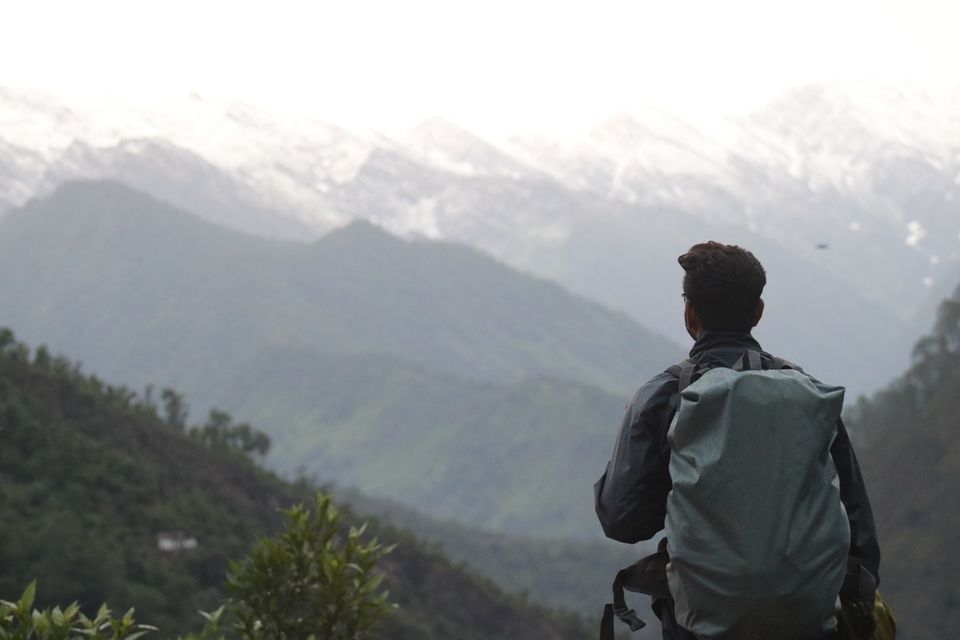 Photo of Trekking through this offbeat trail was the best thing I did in Mussourie by Amrita