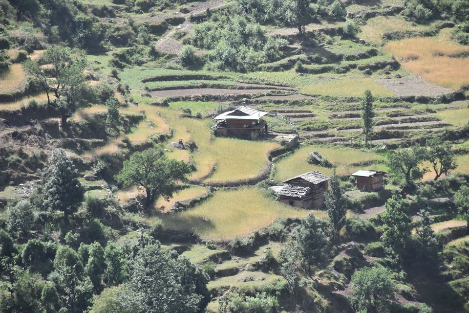 Photo of Kotkhai, Himachal Pradesh, India by Amrita