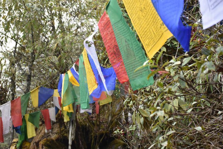 Photo of A hike to this hidden trail should be in your next Sikkim itinerary by Amrita