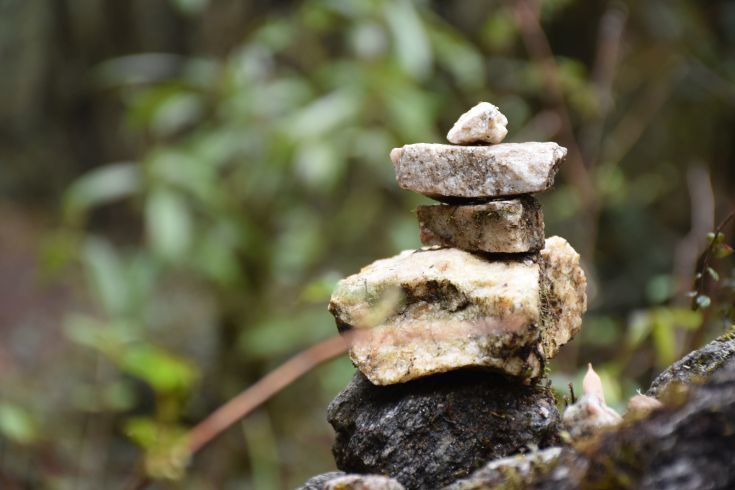 Photo of A hike to this hidden trail should be in your next Sikkim itinerary by Amrita