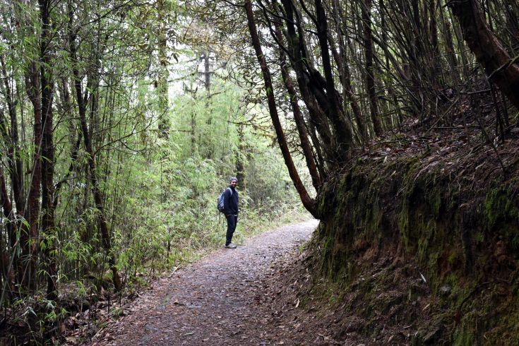 Photo of A hike to this hidden trail should be in your next Sikkim itinerary by Amrita