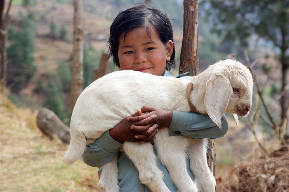 Photo of Ditch the Polluted Kathmandu and Stay Close to Nature at Nagarkot by Amrita