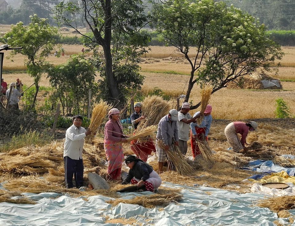 Photo of Ditch the Polluted Kathmandu and Stay Close to Nature at Nagarkot by Amrita