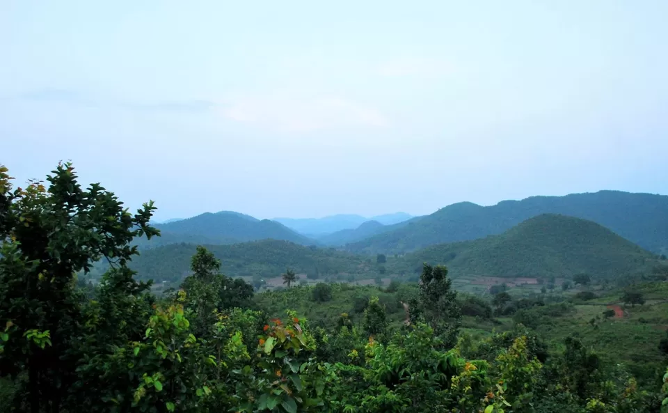 Photo of Daringbadi local Hill Forest (Scenic Views), Odisha, India by Amrita