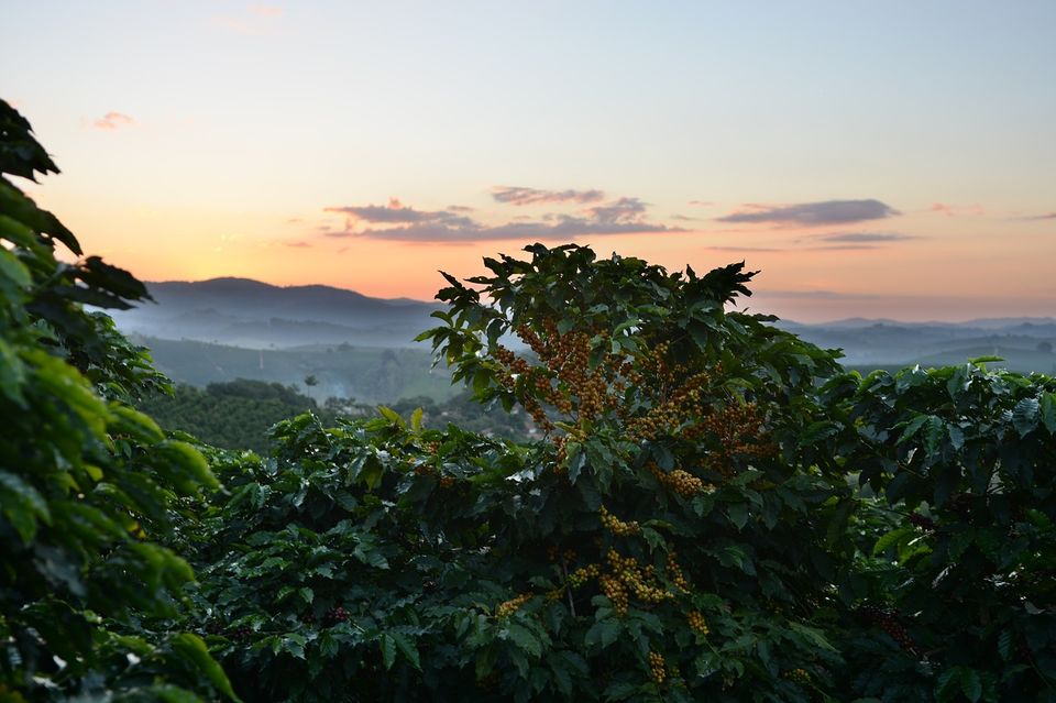 Photo of There Is a Hill Station in Odisha and We Bet You Didn't Know About It by Amrita