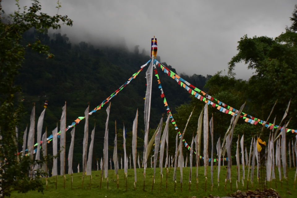 Photo of This Eco-Friendly Farm Stay in Sikkim Is Following the Best Practice of Reduce, Reuse & Recycle by Amrita