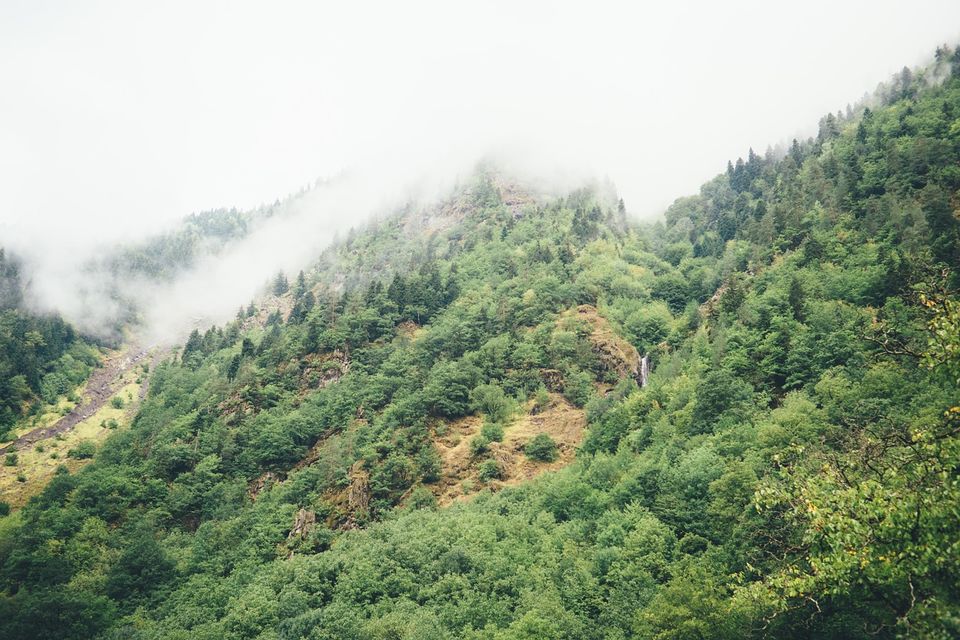 Photo of This Hidden Hamlet near Darjeeling Is Our Favourite Destination This Summer by Amrita
