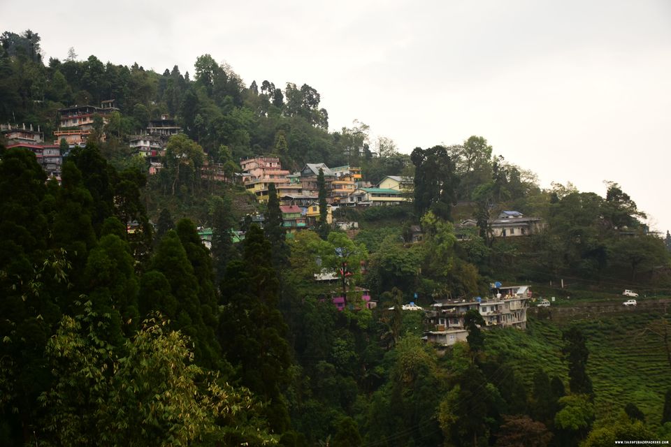 Photo of Singell Homestay, Singel Tea Garden, West Bengal, India by Amrita