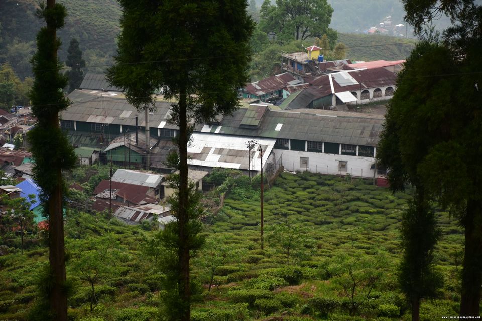 Photo of This quaint village in the middle of tea gardens is the best place to spend a weekend by Amrita