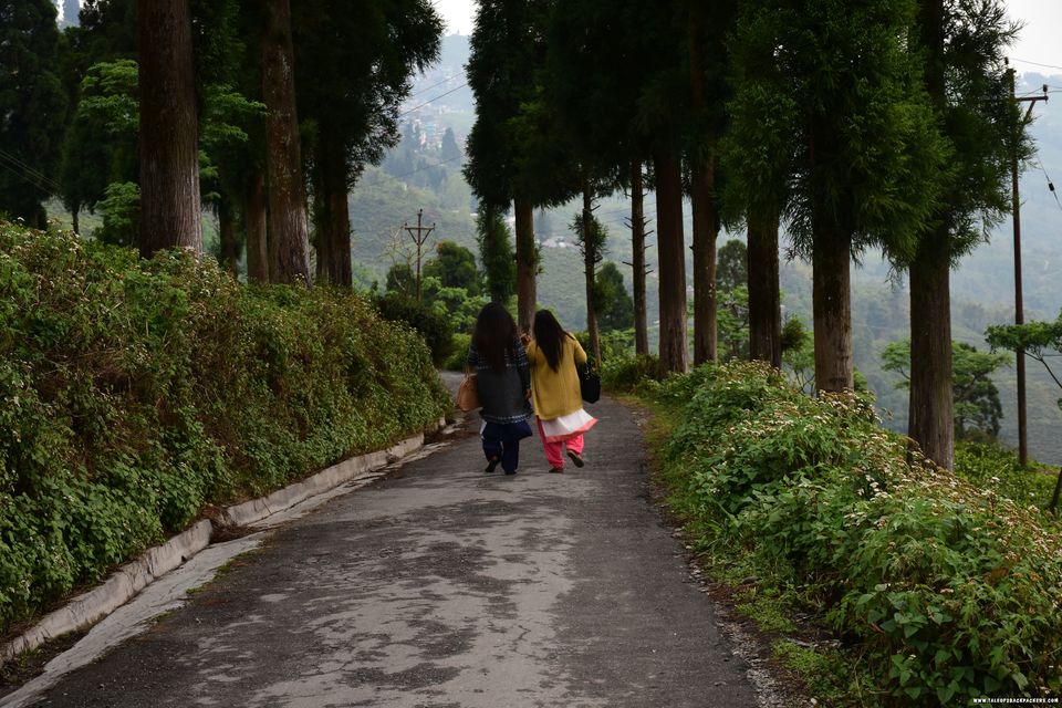 Photo of This quaint village in the middle of tea gardens is the best place to spend a weekend by Amrita