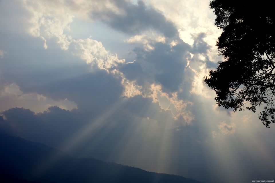 Photo of This quaint village in the middle of tea gardens is the best place to spend a weekend by Amrita