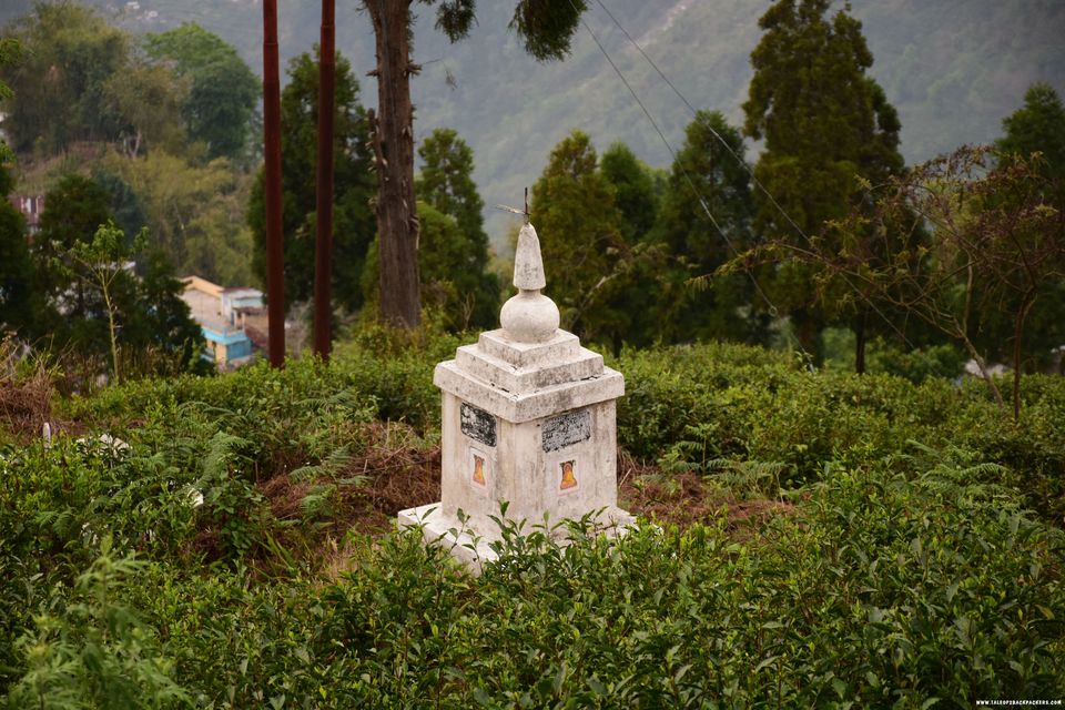 Photo of This quaint village in the middle of tea gardens is the best place to spend a weekend by Amrita