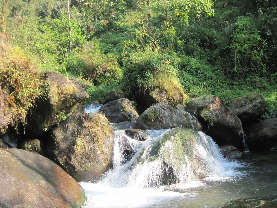 Photo of Suntalekhola, Samsing WBFDC Tourist Lodge, Eastnar Forest, West Bengal, India by Amrita