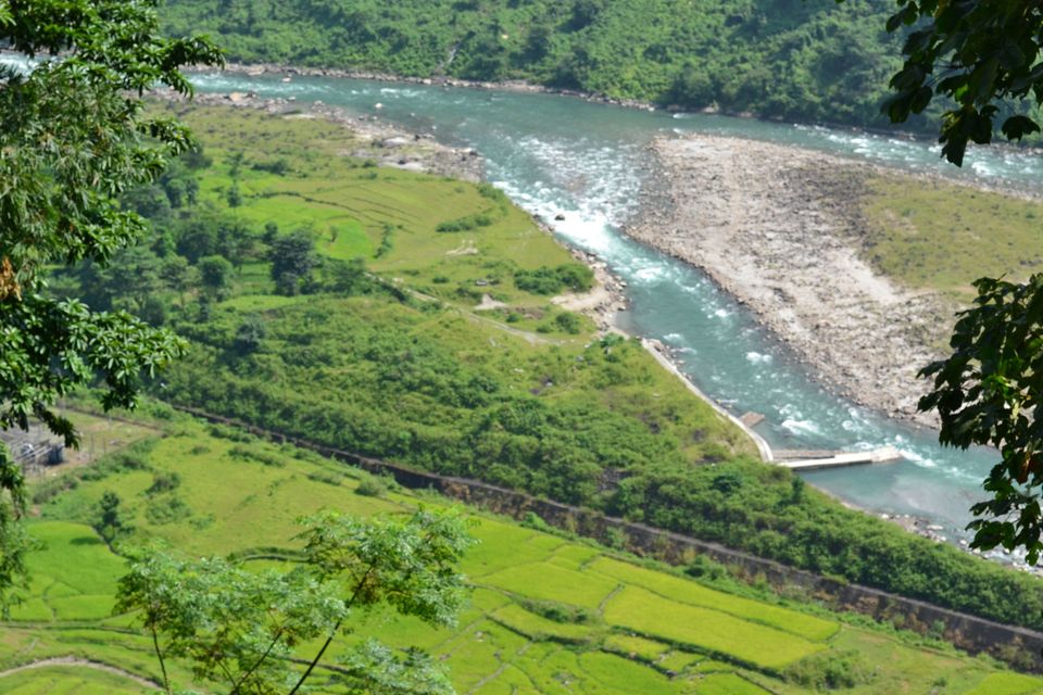Photo of This monsoon visit the scenic tea gardens of Samsing by Amrita