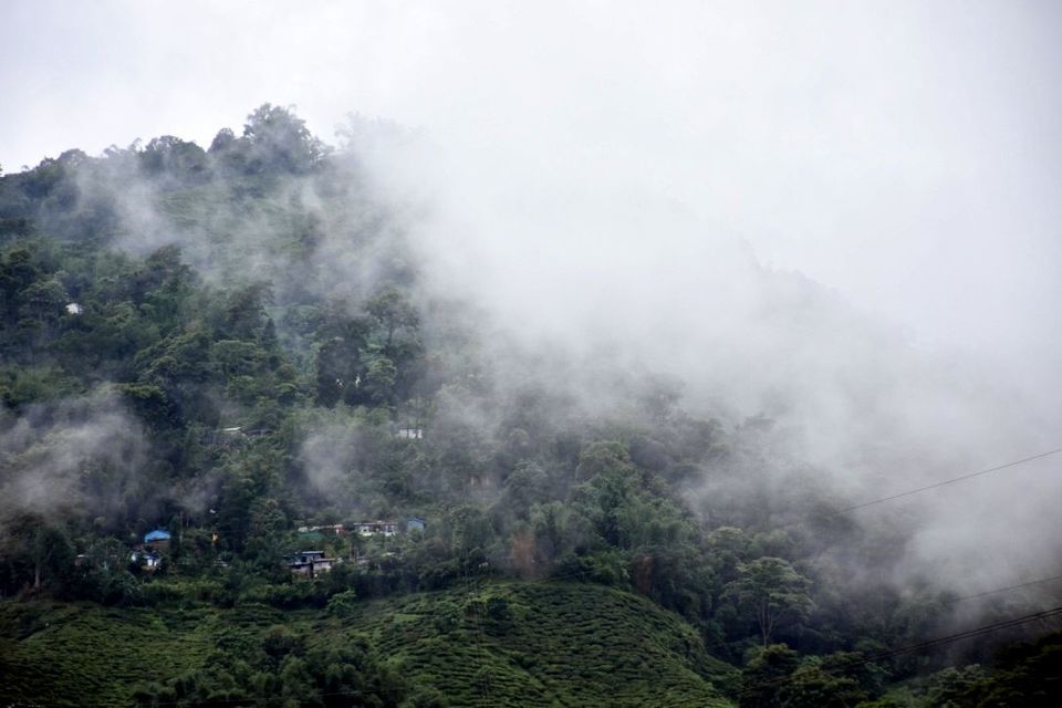 Photo of These photos will surely make you want to visit Kalimpong in the rains by Amrita