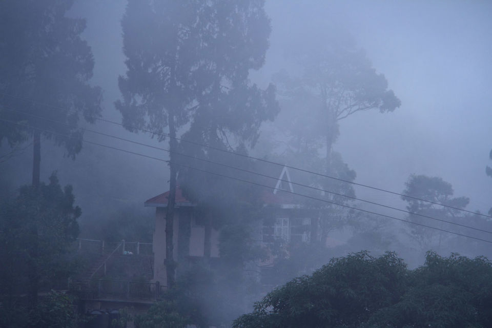 Photo of These photos will surely make you want to visit Kalimpong in the rains by Amrita