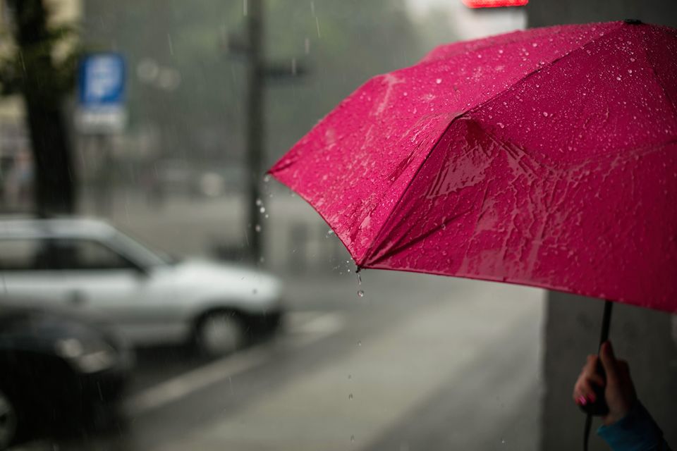 Photo of These photos will surely make you want to visit Kalimpong in the rains by Amrita