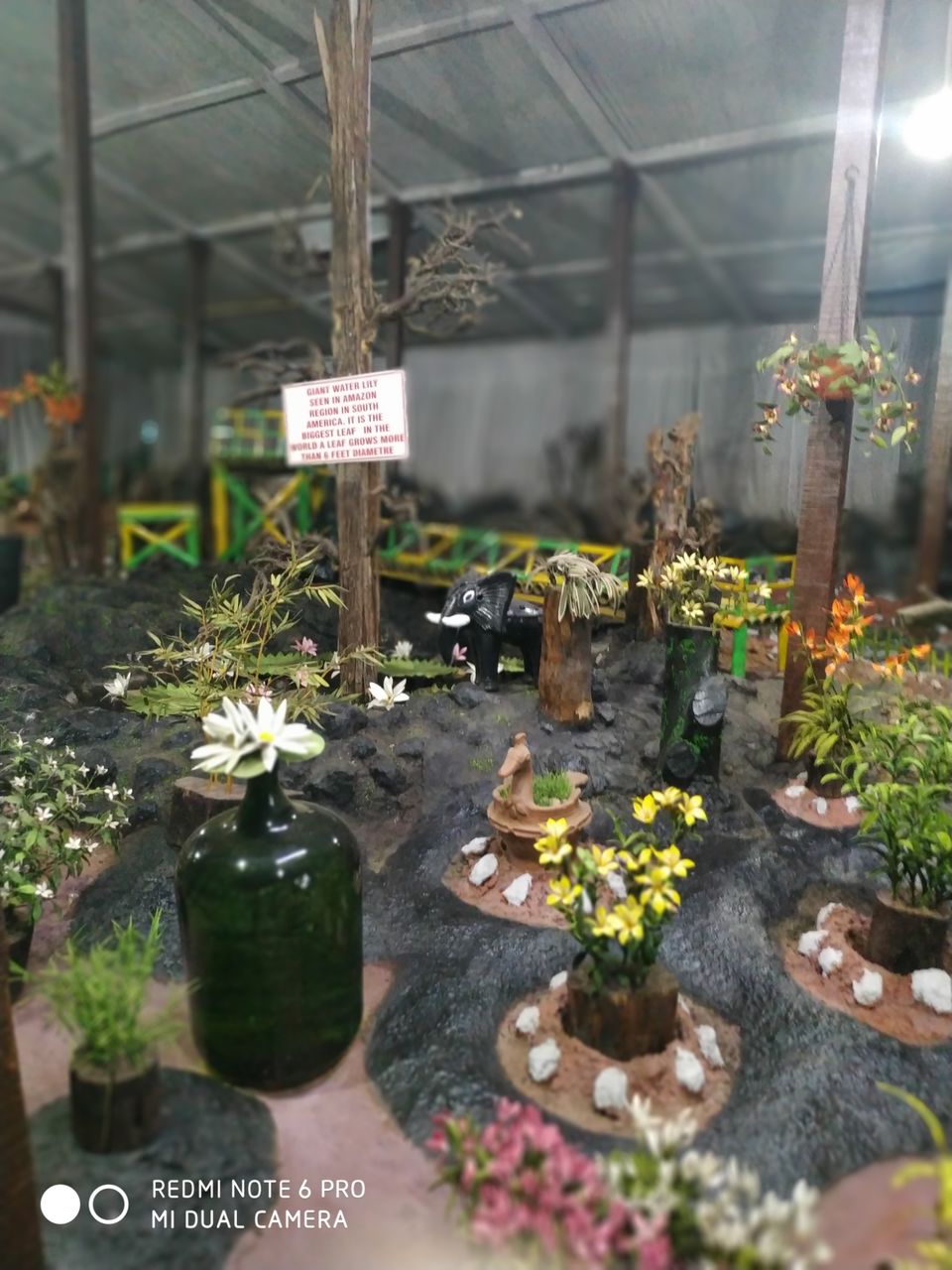 Photo of Thread Garden, North Lake Road, Kathadimattam, Ooty, Tamil Nadu, India by Kishori Krishna Dessai