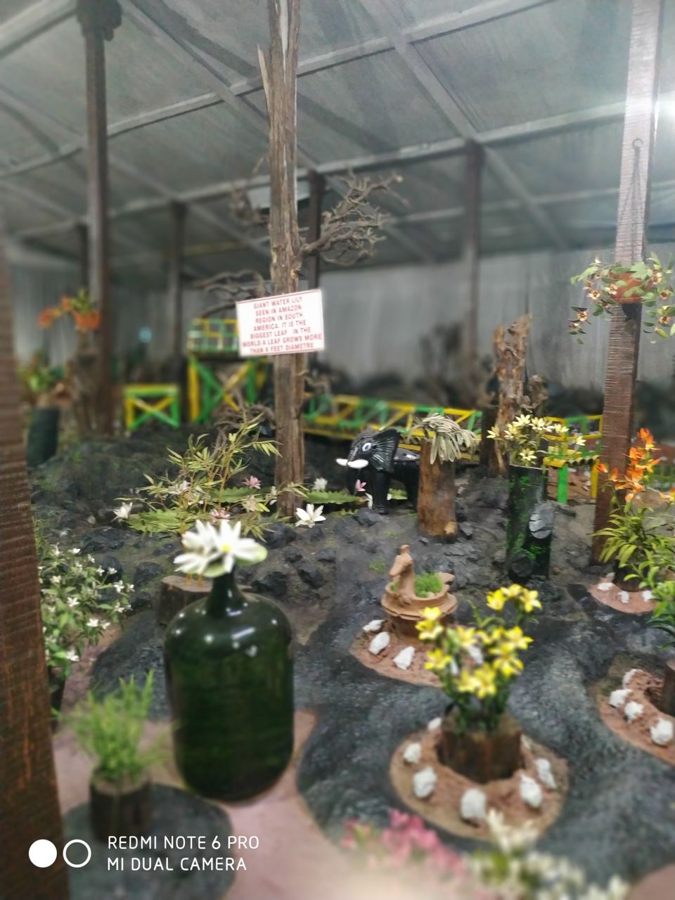 Photo of Thread Garden, North Lake Road, Kathadimattam, Ooty, Tamil Nadu, India by Kishori Krishna Dessai
