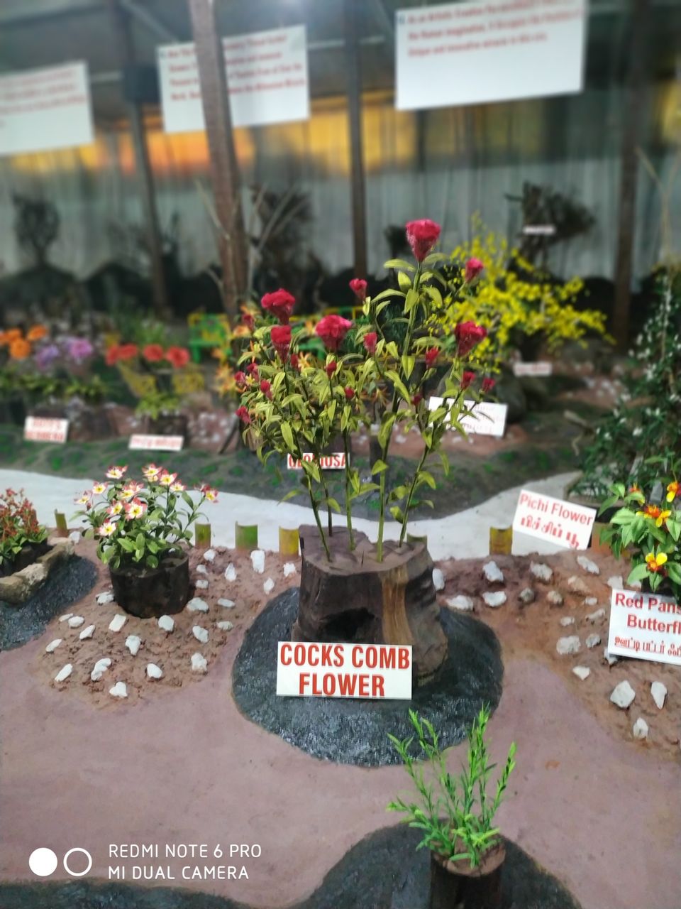 Photo of Thread Garden, North Lake Road, Kathadimattam, Ooty, Tamil Nadu, India by Kishori Krishna Dessai