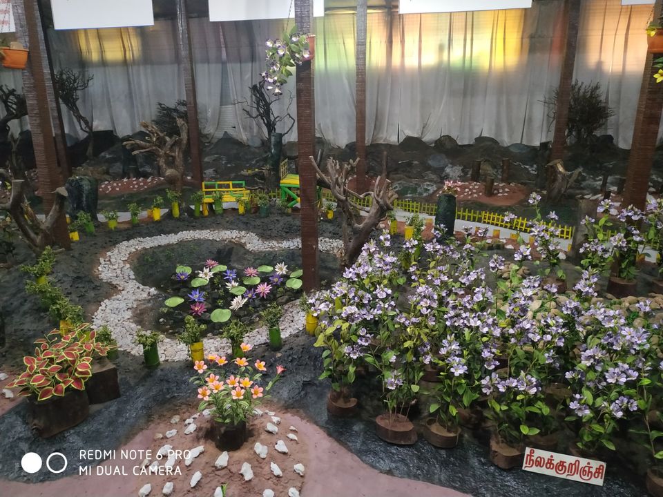 Photo of Thread Garden, North Lake Road, Kathadimattam, Ooty, Tamil Nadu, India by Kishori Krishna Dessai