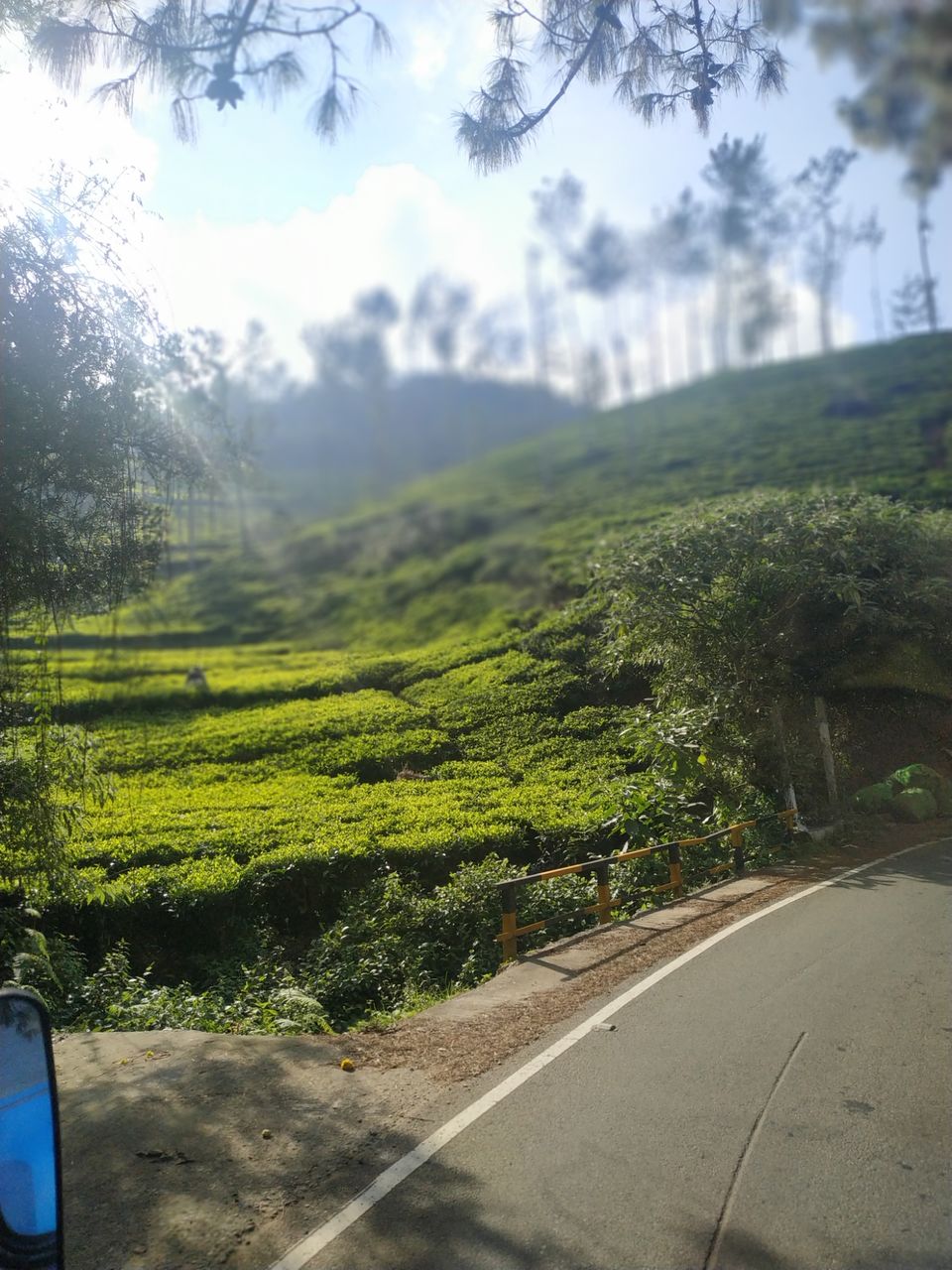 Photo of The Tea Factory and The Tea Museum, Thalayathimund, Ooty, Tamil Nadu, India by Kishori Krishna Dessai