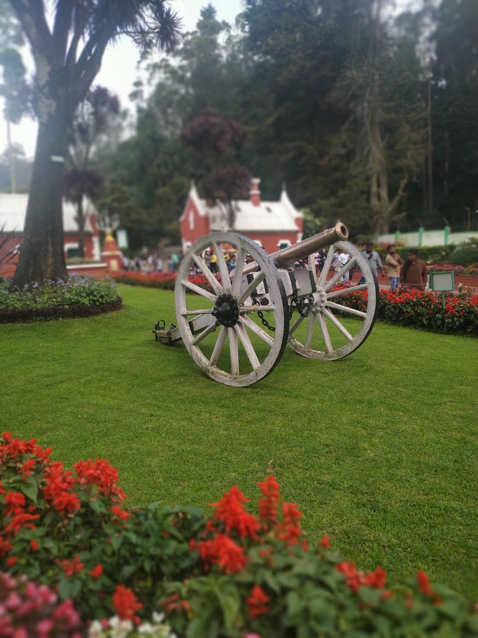 Photo of Government Botanical Garden, Vannarapettai, Ooty, Tamil Nadu, India by Kishori Krishna Dessai