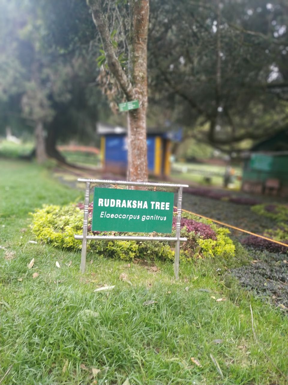 Photo of Government Botanical Garden, Vannarapettai, Ooty, Tamil Nadu, India by Kishori Krishna Dessai