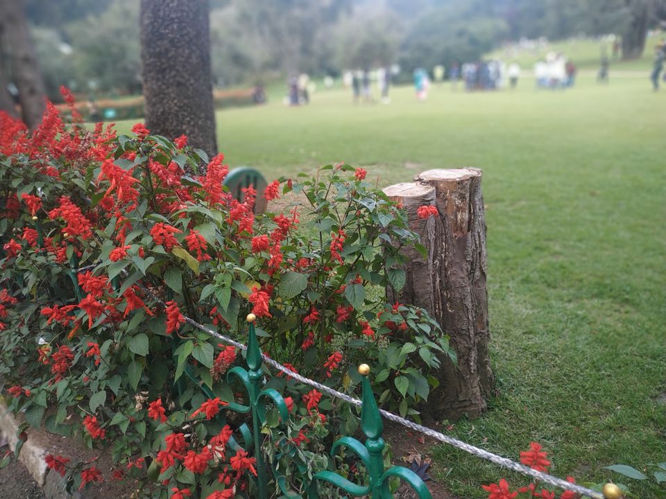 Photo of Government Botanical Garden, Vannarapettai, Ooty, Tamil Nadu, India by Kishori Krishna Dessai