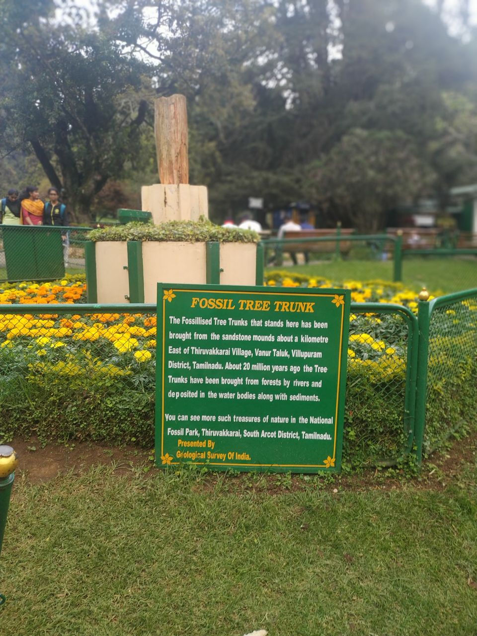 Photo of Government Botanical Garden, Vannarapettai, Ooty, Tamil Nadu, India by Kishori Krishna Dessai