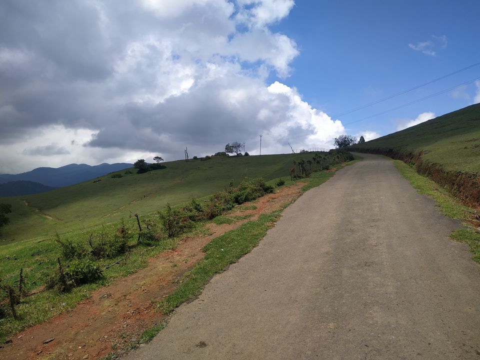 Photo of Wenlock Downs 9th Mile Shooting Point, Coimbatore-Ooty-Gundlupet Highway, Tamil Nadu, India by Kishori Krishna Dessai