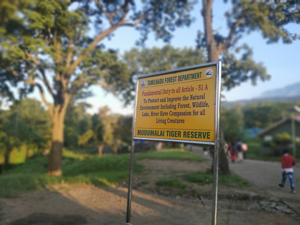 Photo of Mudumalai Tiger Reserve Office, Upper Bazaar, Ooty, Tamil Nadu, India by Kishori Krishna Dessai
