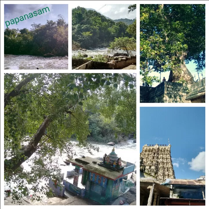 Photo of mundandurai, agasthiyar malai by Sona Nagarajan