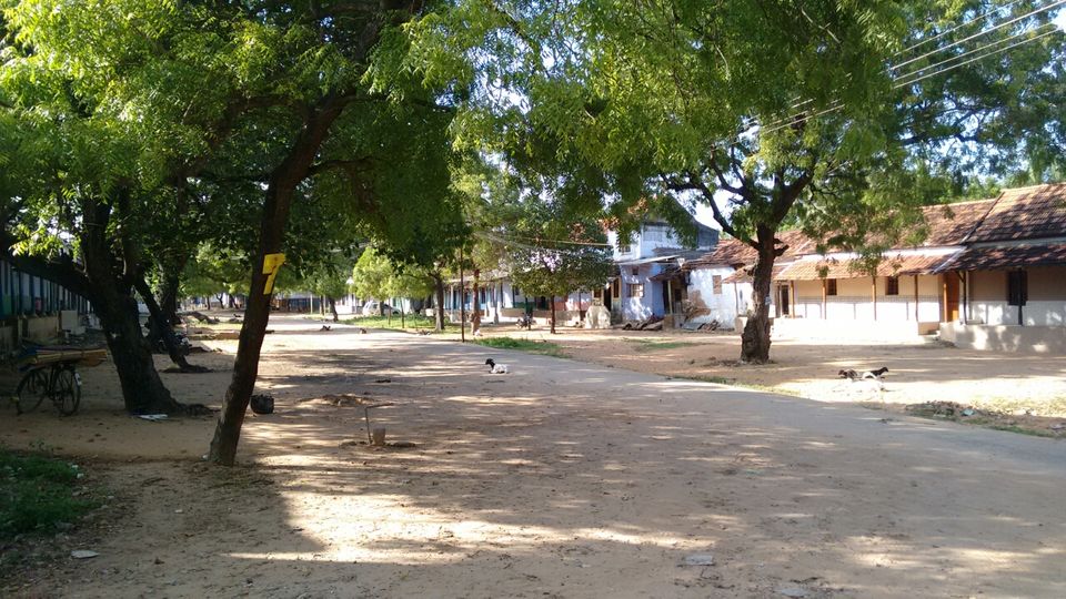 Photo of tiruchendur, kulasegarapattinam, manapadu by Sona Nagarajan
