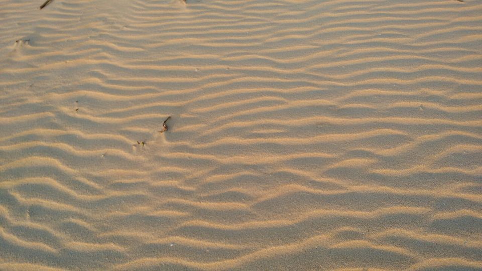 Photo of tiruchendur, kulasegarapattinam, manapadu by Sona Nagarajan