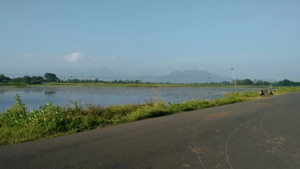 Photo of Papanasam, agasthiyar malai, falls by Sona Nagarajan
