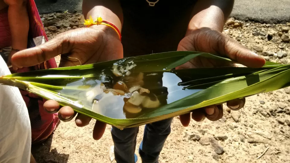 Photo of Papanasam, agasthiyar malai, falls by Sona Nagarajan